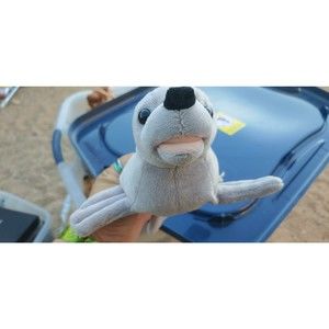 11 inch grey plush seal from Hilton garden inn Carlsbad beach